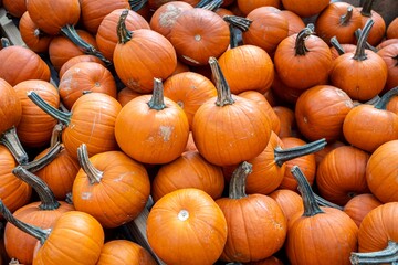 An abundance of pumpkins in a cart at a Fall harvest festival in rural Virginia.