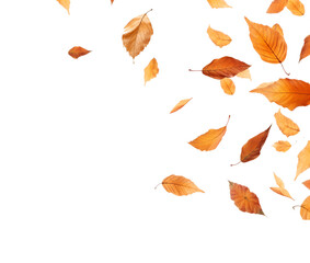 A dynamic arrangement of autumn leaves in mid-fall, with a palette of warm tones against a transparent background. Generative AI
