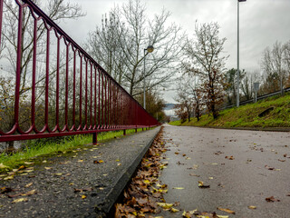 Rain-Soaked Path with Red Railing in Autumn