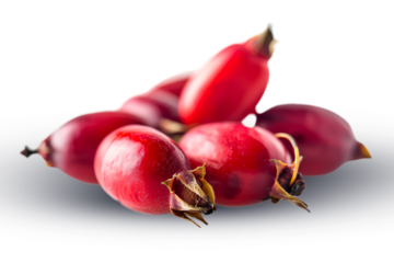 Rosehip Seed Oil, isolated on white background, studio light