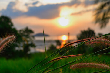 sunset on coast of Thailand beautiful colors background