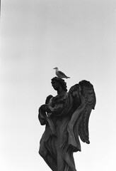 Fototapeta premium Black and white film photo of an angel statue
