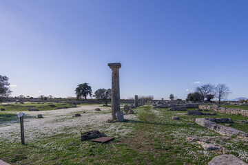 Remains of columns of the portico of the Roman Forum in the Archaeological Park of Paestum
