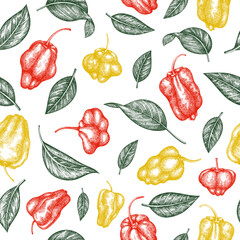 Hand drawn sketch style scotch bonnet pepper seamless pattern. Organic fresh vegetable vector illustration. Retro cayenne pepper background