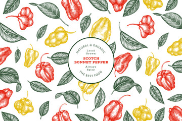Hand drawn sketch style scotch bonnet pepper banner. Organic fresh vegetable vector illustration. Retro cayenne pepper design template