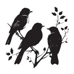 birds on a branch