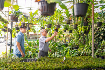 Asian elderly man father and adult son choosing and buying plant together at plant shop street...