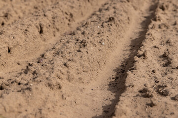 an agricultural field with plowed soil during spring sowing