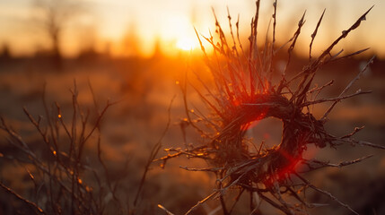 Wreath Of Thorns With King Crown Shadow - Passion And Triumph Of Jesus