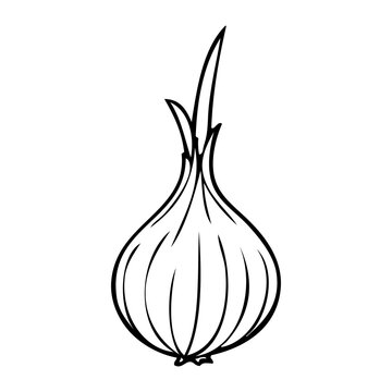 recommend clip art: onion outline illustration
