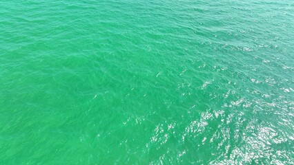 From the drone's eye, a pristine sea wave unfurls in all its untouched glory, a shimmering ribbon of aquamarine, where the ocean's secrets lie beneath the surface, waiting to be discovered. 
