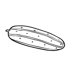 cucumber outline illustration