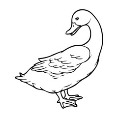 duck outline illustration