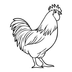 rooster outline illustration