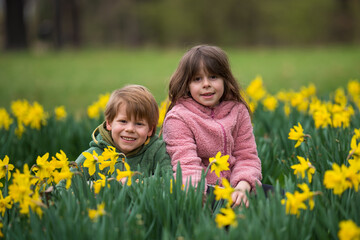 Portrait of a cute brother and sister. A 7-year-old girl and a 5-year-old boy are having fun in nature. Sitting among yellow daffodil flowers. Love for nature.