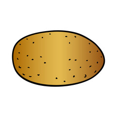 potato vector illustration
