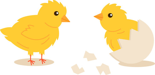 Little chickens isolated on white background. Newborn little yellow cartoon chickens for Easter design. Vector illustration