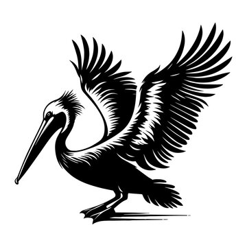 recommend clip art: pelican with its wings spread silhouette. Vector illustration