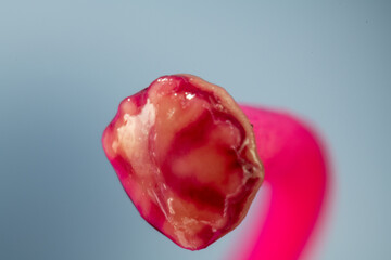 Stigma of pistil of azalea （Rhododendron）