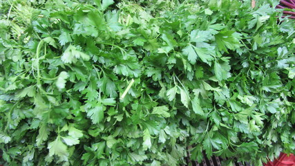 Obraz premium mercado