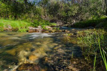 landscape, view, nature, stream, water, clean, vegetation, green