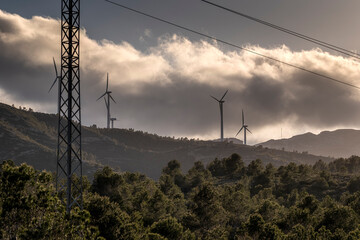 The soft evening light bathes windmills and power lines, evoking park eolic, environmental consciousness, and the pursuit of green energy