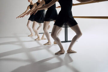 Practicing plie. Cropped image of ballerinas in black costumes and pointe shoes, training at barre...