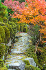 A serene Japanese garden with a stone path during autumn in Shiga Prefecture, Japan.