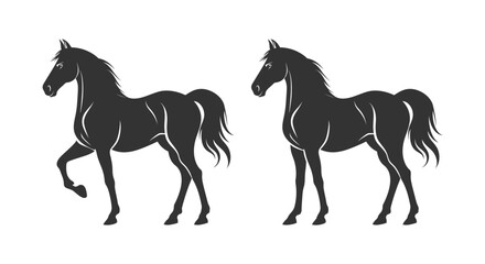 Black silhouette line horse on white background. Vector graphic. Logo animal, icon.