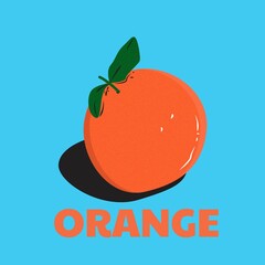 Illustartion vector design of orange
