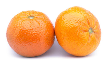 Mandarin (Citrus reticulata), Rutaceae. Also known as tangerines or clementines. Fruits on white background.