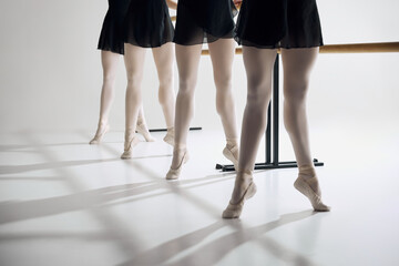 Elegance on pointe. Cropped image of female ballet dancer standing in a row at barre, practicing...