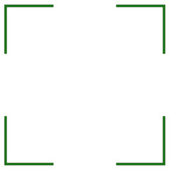 Green Camera Focus Icon Isolated on White. Can be used as a Border or Frame.