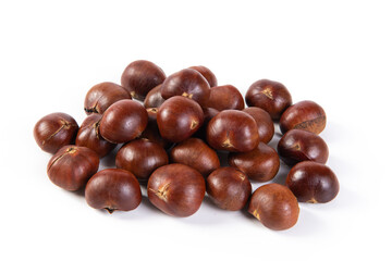 roasted chestnut isolated on white background.