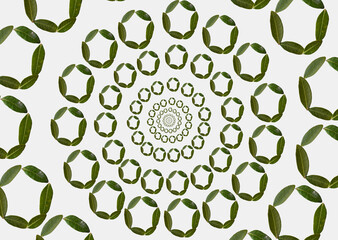 seamless pattern made of Green leaves . Circle Pattren Made of green leaves in white background 