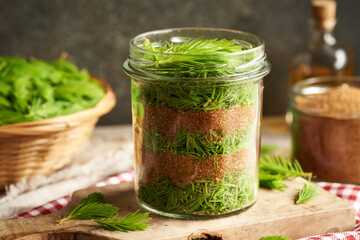 Preparation of homemade herbal syrup from young raw spruce tips collected in spring and brown sugar