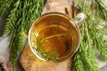Horsetail tea in a glass cup with fresh horsetail twigs