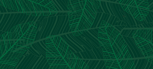 Banana leaves background Vector illustration