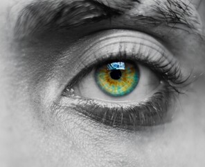 Close-up monochrome image of a green and yellow human eye