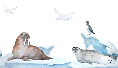 Seamless frame of banner with walrus, seal, guillemot and seagull watercolor illustration on ice , iceberg on background. Horizontal format, for children wallpaper and room decor