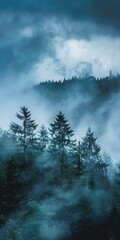 Sky Fog. Trees in Cloudy Sky, Nature Environment with Foggy Tranquil Scene
