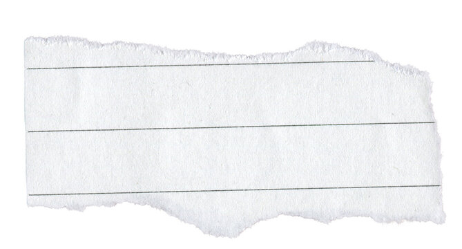 White Lined Ripped Paper Strip. Scrap Paper with Torn Edge, Scrapbook Sticky Notes, Notebook Page