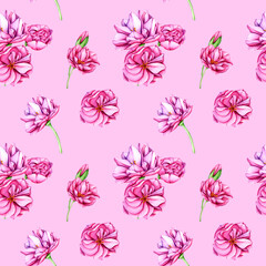Sakura flowers. Pink cherry blossom flowers. Seamless Pattern with Japanese flowers in spring. Watercolor botanical illustration with buds, petals and leaves for your designs, wallpapers, clothing