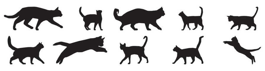 Cat silhouette collection. Set of black cats. Kitten black symbol collection. Isolated vector illustration.