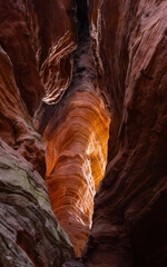 Felsengl&uuml;hen am Altschlossfelsen, Pf&auml;lzerwald