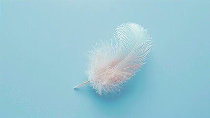 A white fluffy bird feather on a delicate blue background