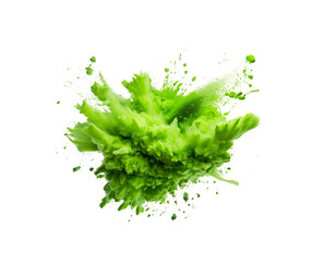 Vibrant green paint explosion, resembling a blooming flower, with splashes and droplets, isolated...
