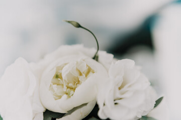 A bouquet of white flowers is sitting on a white surface. The flowers are arranged in a way that they are all facing the same direction, creating a sense of unity and harmony.