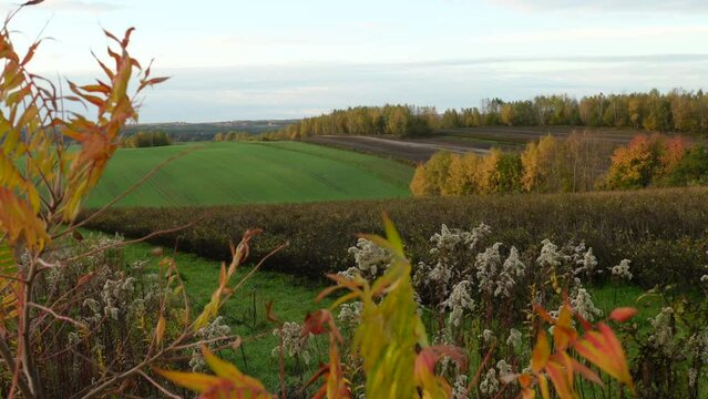Roztocze fields in autumn on the hills between yellow leaves