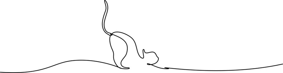 line art cat for a animals day